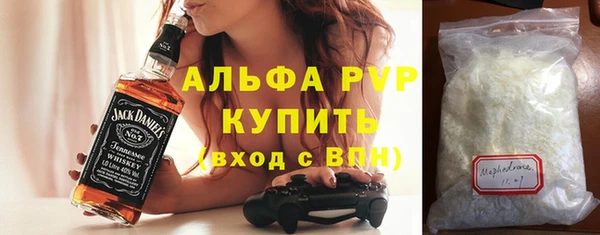 хмурый Верея