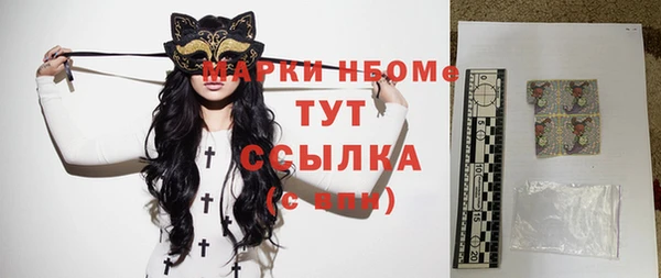 дмт Богданович