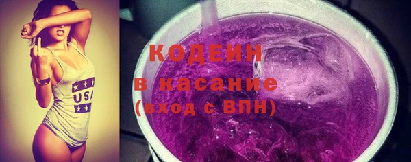 хмурый Верея