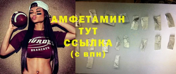 хмурый Верея