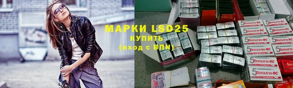 хмурый Верея